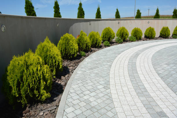 Best Interlocking Driveway Pavers  in Langley Park, MD